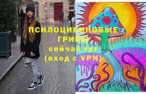 твердый Магадан