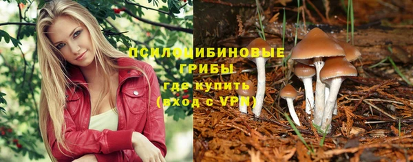 круглые Майский