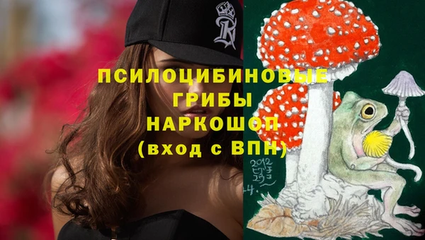 прущая мука Магас