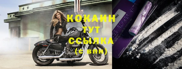 прущая мука Магас