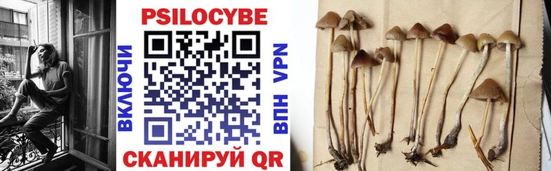 Галлюциногенные грибы Cubensis  Пойковский 